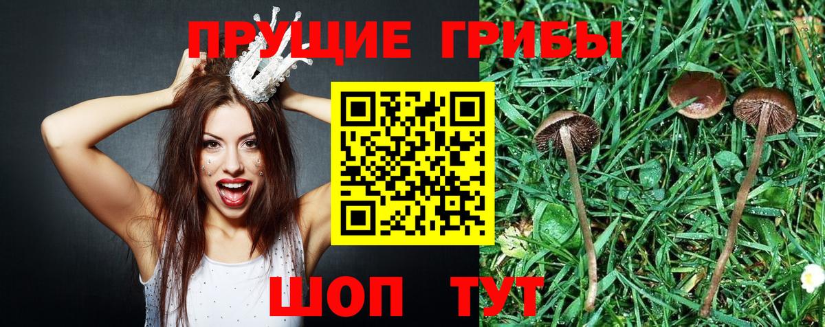 Галлюциногенные грибы мицелий Богородск